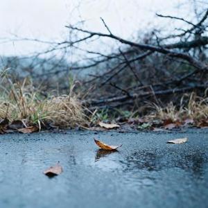 空荡的街景 想找个人放感情
