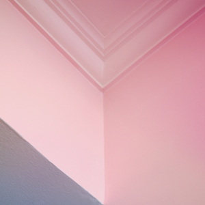 Cornered (Meditation)