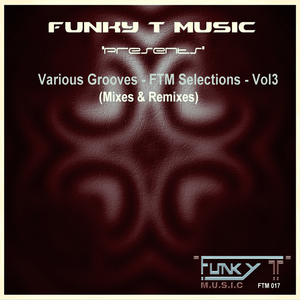 Somebody's Guiter (Dj Funky T's Soulfudge Mix)