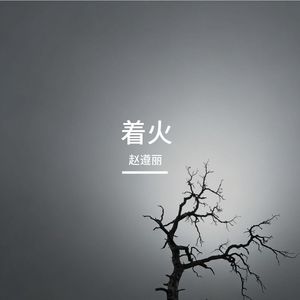 着火 (作词：赵遵丽）