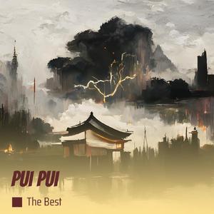 Pui Pui