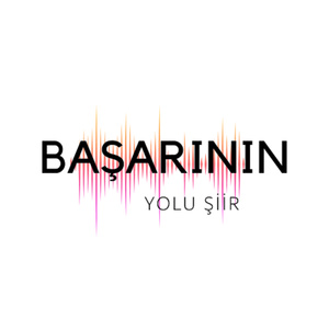 Başarının Yolu Şiir
