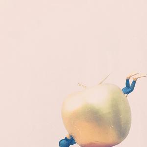 金苹果 Golden Apple