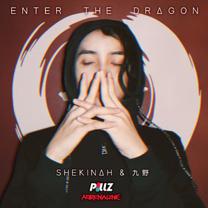 ENTER THE DRAGON