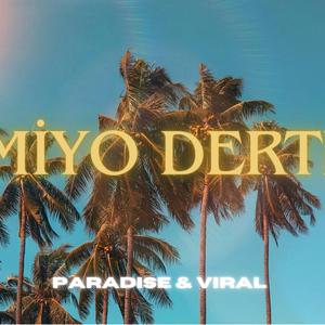 Bitmiyo Dertler (feat. Viral)