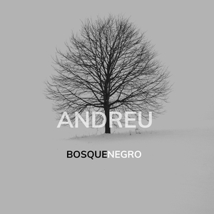 Bosque Negro