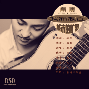 我流浪在城市的旷野