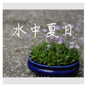 水中的夏天 (Current)