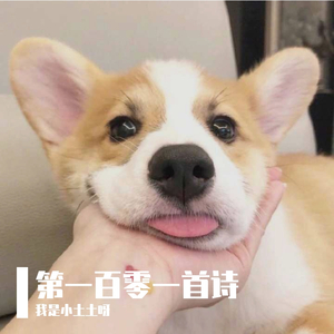 第一百零一首诗（翻自 爱写歌的小田）