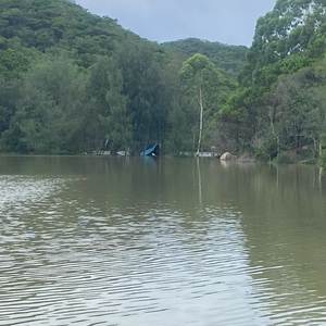 这一段伤心的记忆