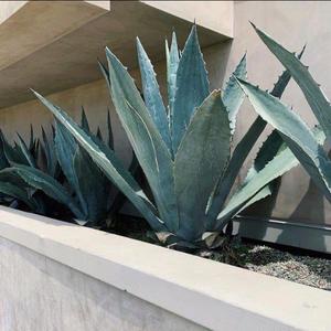 Beauty And A Beat (Prod.ewancarterr)