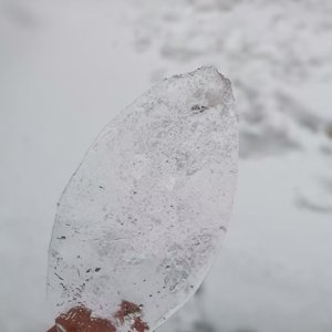 你和雪一样转瞬即逝