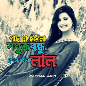 গাছটা হইলো সবুজ বন্ধু