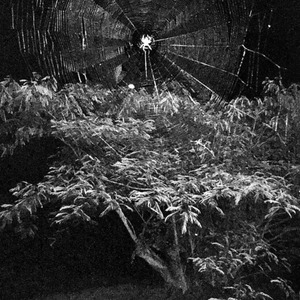 Invocation of the Dark