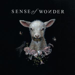 Sense of Wonder