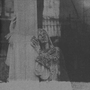 Transmission (Uncut)