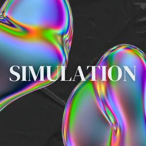 SIMULATION