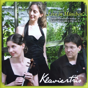 Trio in E minor, Op. 56: I. Ruhig fliessend beginnen (Live)