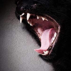 Solsticio y Equinoccio