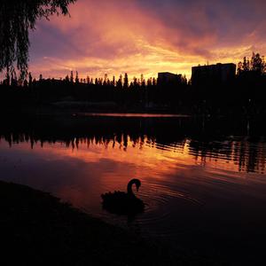 18（feet.St.Cear&邓博文)