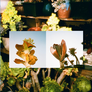 Rawtanique/La Vitalite En Mouvement Project