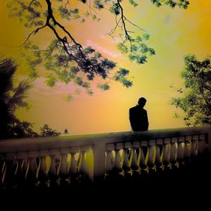 A Sunbeam Lent To Us Briefly