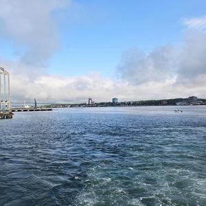 Garbage (One way ticket)