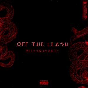 Off The Leash(Christian Remix)