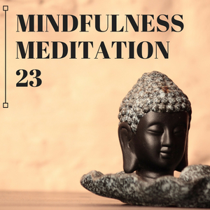 Chat Noir (Sound Therapy)