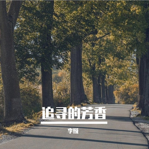 追寻的芳香 伴奏