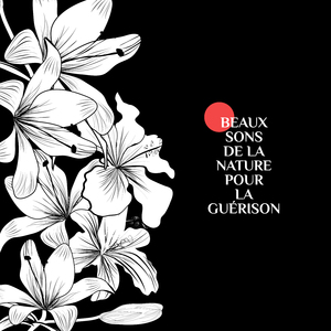 Massage aux huiles essentielles