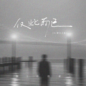 仅此而已 (DJ豪大大版)