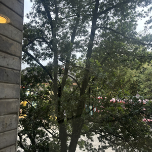 关于你的日记我终于停下笔