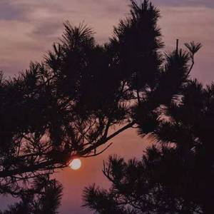 我不在你计划里（ProdBy.PUNISHME)