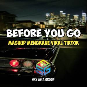 DJ BEFORE YOU GO MASHUP VIRAL TIKTOK