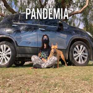 Pandemia