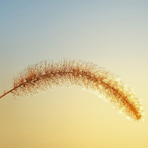 기분 좋게 잠들 시간 (수면)