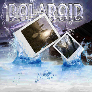 Polaroid