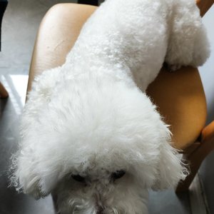 故居吧