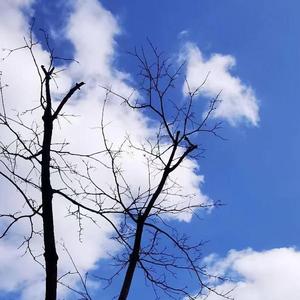 不会让你继续等待