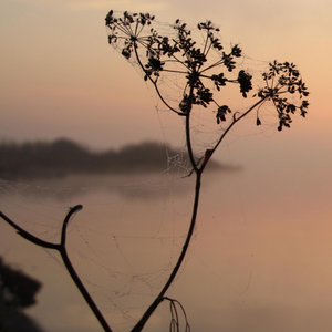 天龙八部之宿敌