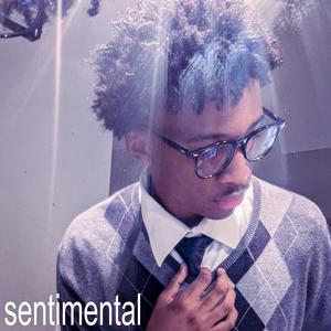 sentimental (feat. Donsrepublic)