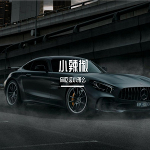 《可惜我不是他》