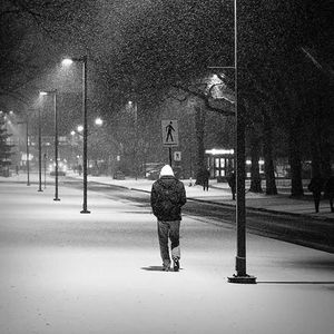 平行线（cover.mDD）