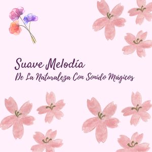 Es Energizante Y Calmante