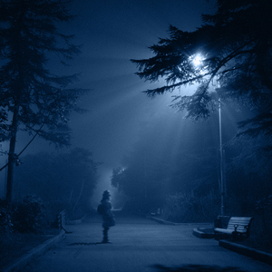 Dreams And Shadows