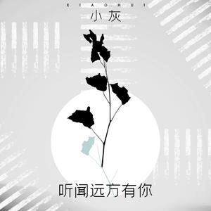 听闻远方有你