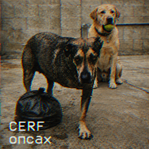 опсах