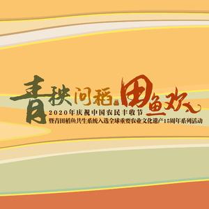 青秧问稻田鱼欢