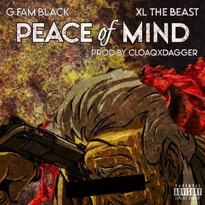 Peace Of Mind (feat. XL the Beast & CLOAQxDAGGER)